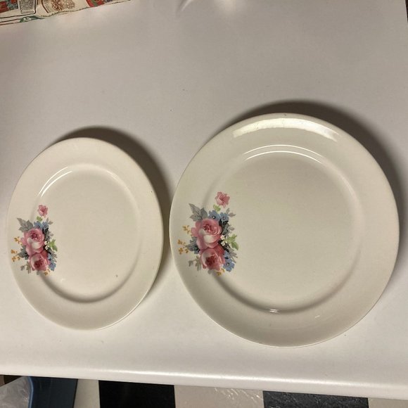 Vintage Dinner Plates (2) 9 Inches with Pink & Blue Flowers / Roses - Picture 1 of 16
